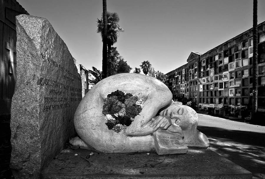 ©Paul Shoul