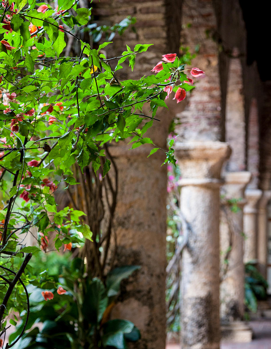 Cartagena Colombia